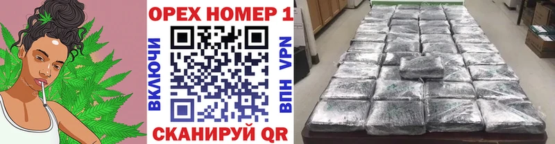Купить закладки  Гурьевск  Cocaine 99% 