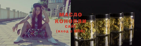 твердый Новодвинск