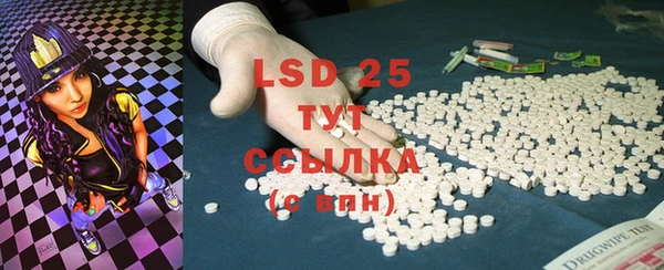твердый Новодвинск