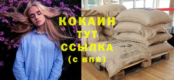 твердый Новодвинск