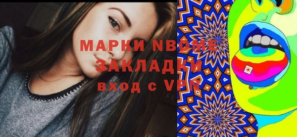 твердый Новодвинск
