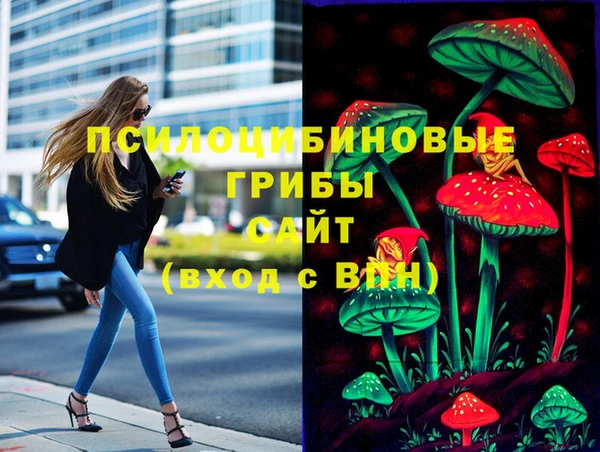 твердый Новодвинск