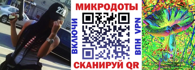 Галлюциногенные грибы Psilocybe  Купить закладки  Гурьевск 